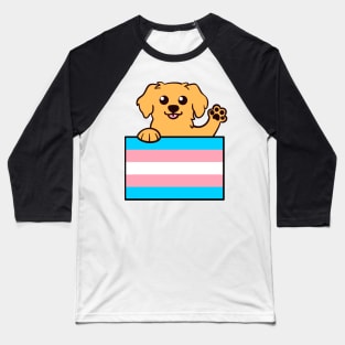 Love is Love Puppy - Golden Trans Pride Flag Baseball T-Shirt